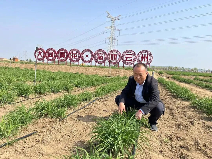 杨旗 。图源：农民日报