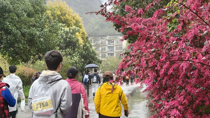 桃花江畔各色花朵已次第开放