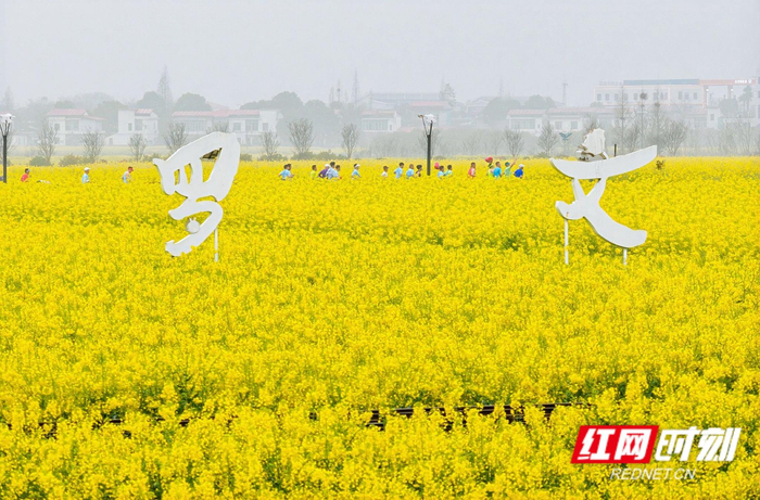 跑友们奔跑于花海之中。