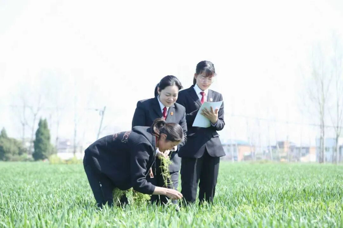 金莉莎在张村镇走访村民。