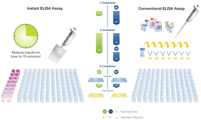 图2. Thermo Fisher Scientific快速ELISA技术与传统ELISA方法的比较