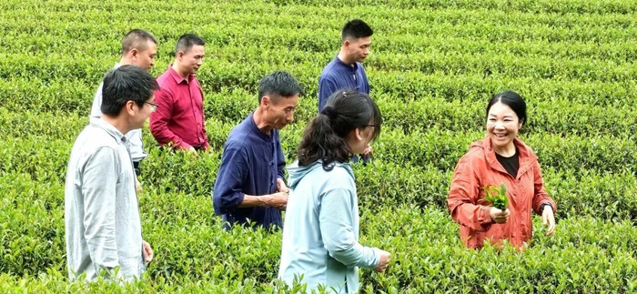 廖红（右一）在和茶农交流。图源：福建农林大学