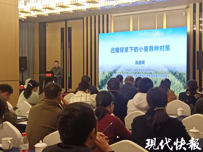 高德荣在讲课