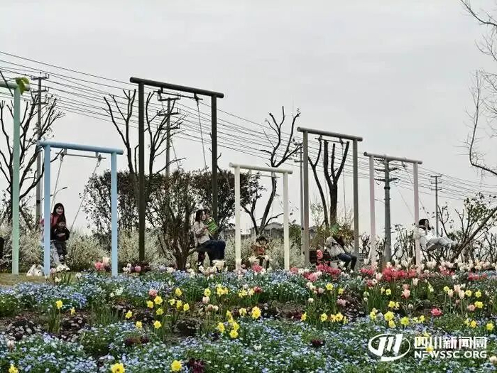游客在兴海花卉产业园内游玩