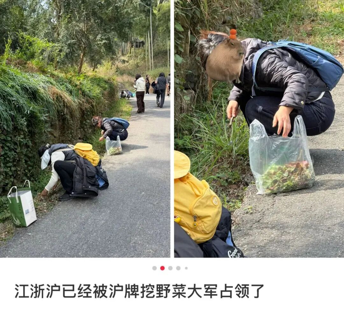 图源：丁香医生