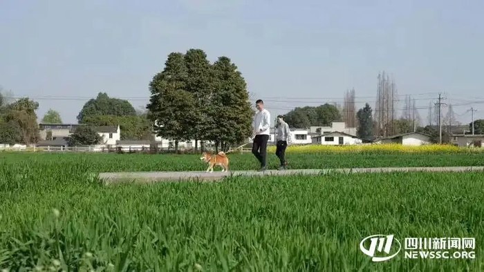 市民踏青赏花