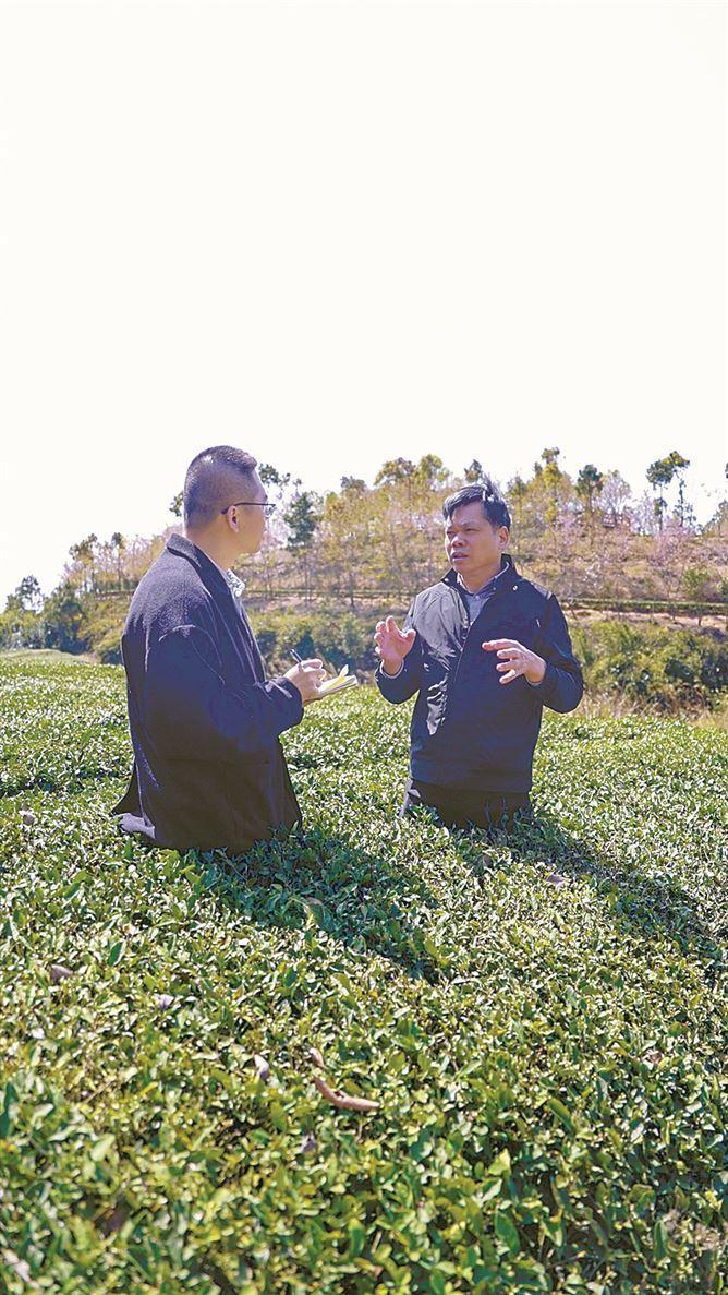 高树足（图右）向记者介绍军营村茶叶种植情况。（记者 杨进福 摄）