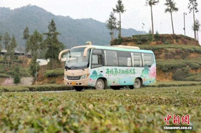 “开往春天的图书车”化身流动“文化驿站”，驶入三峡库坝区茶乡。张国荣 摄