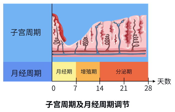 图源：太帅图库
