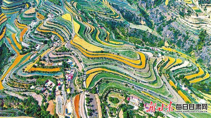 庆阳市镇原县壮美的梯田。（资料图）新甘肃·甘肃日报通讯员 王启宁
