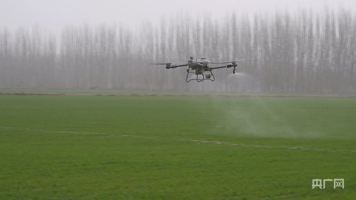 植保无人机正在阿克苏市麦田上空开展飞防作业 （央广网发 热普亥提·阿不力米提 摄）