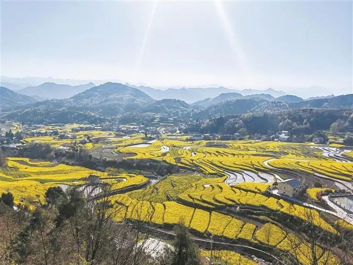 汉阴凤堰梯田（三月二十一日摄）。