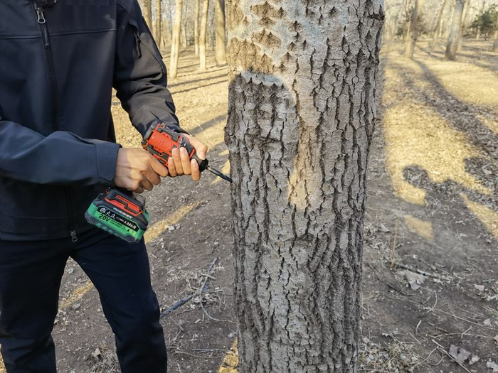 科研人员演示如何注入抑制剂。新京报记者 周怀宗 摄