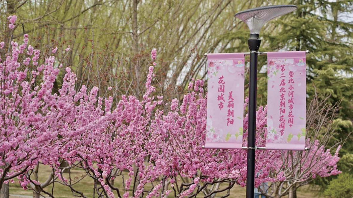 第二届北京朝阳花园节现场。　　资料图片/朝阳区园林绿化局供图