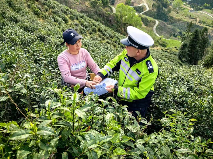 十堰市竹溪警方向茶农宣讲春耕安全防范知识。资料图片