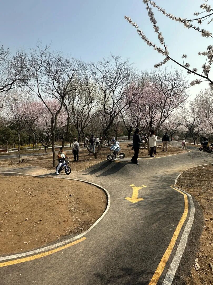 老山城市休闲公园，有家长站在泵道上阻碍正常骑行。