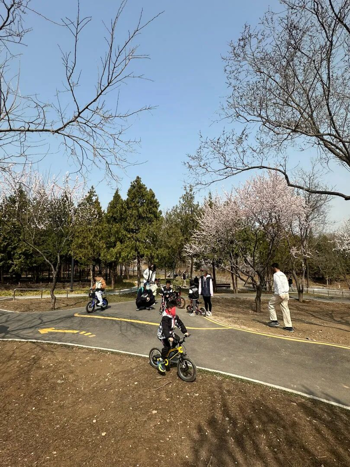 大多数孩子都没有戴护具