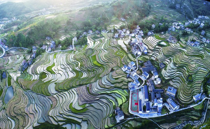 　　俯瞰凤堰梯田（资料照片）。新华社发（邵向东摄）