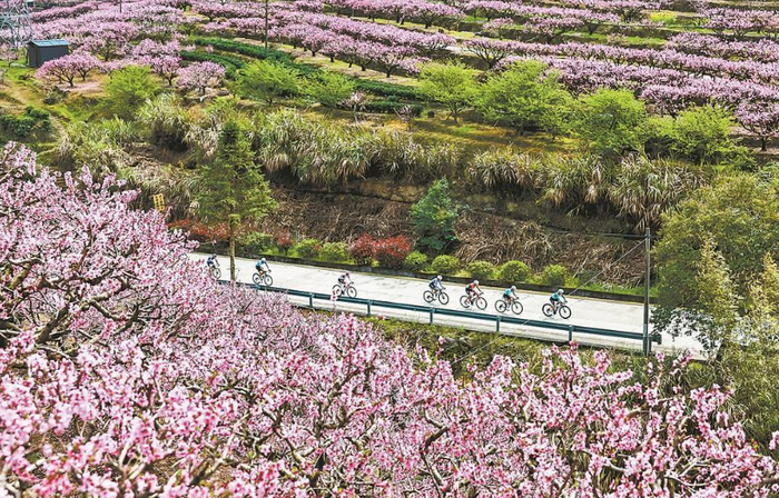 2026第三届中国自行车运动骑游大会暨第二届福建福安白云山自行车赛在福安举办。 图源：福建日报