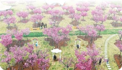 3月21日，人们在浙江省东阳市南马镇花园村天香湾内赏花游玩。新华社发