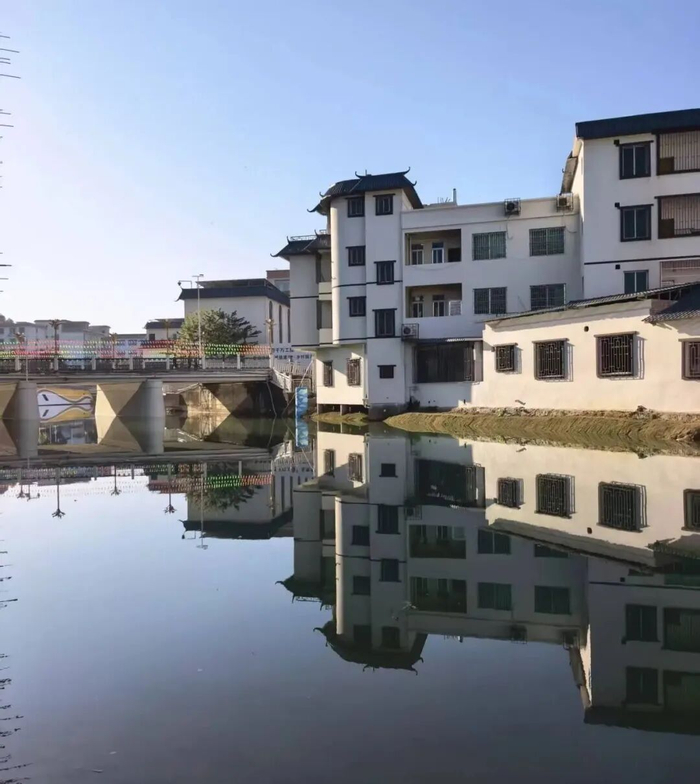 沙田镇美丽河道