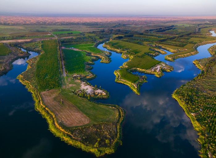 生态绿色恩格贝（图片来源：生态修复网公众号）