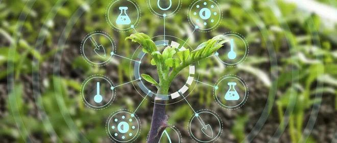 图片来源：摄图网