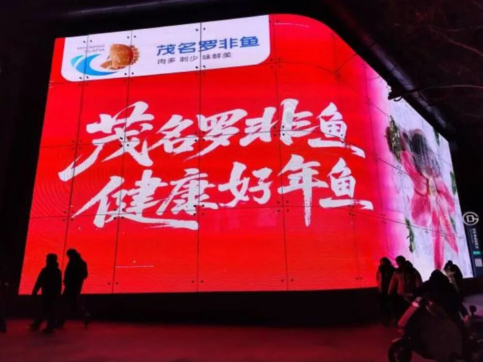 2026年伊始，茂名罗非鱼品牌宣传海报亮相北京王府井大街核心商圈。图源：茂名发布
