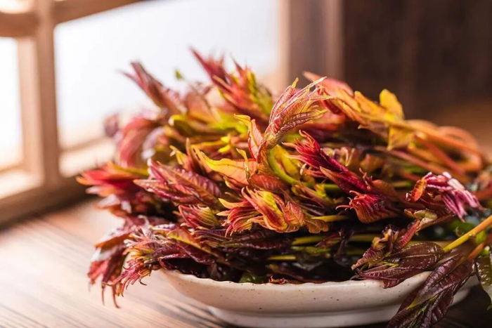 △香椿芽（资料图）