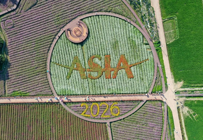 3月17日拍摄的琼海市博鳌镇南强村花海（无人机照片）。新华社记者 郭程 摄