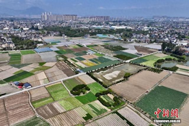 3月25日，空中俯瞰福建省闽侯县南通镇蔬菜基地。（无人机照片）中新社记者 王东明 摄