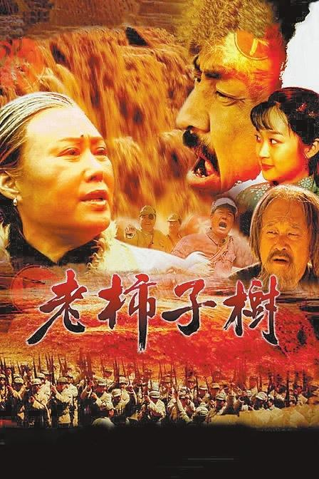 电视剧《老柿子树》海报