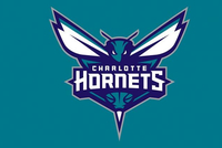 NBA上一次扩军是在2004年 当时的夏洛特山猫成为联盟第30支球队