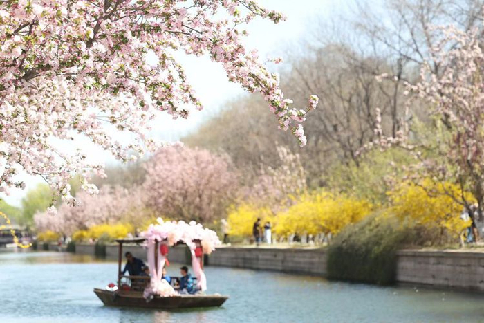 元大都海棠花溪。资料图片/新京报记者 王飞 摄