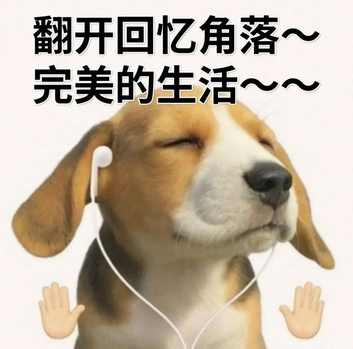 图片来源：网络表情包