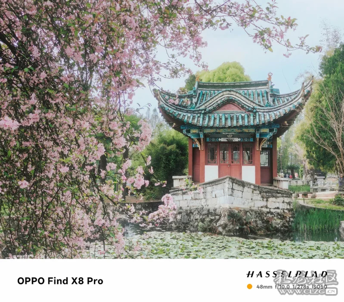 彩龙创作者@怕瓦落地