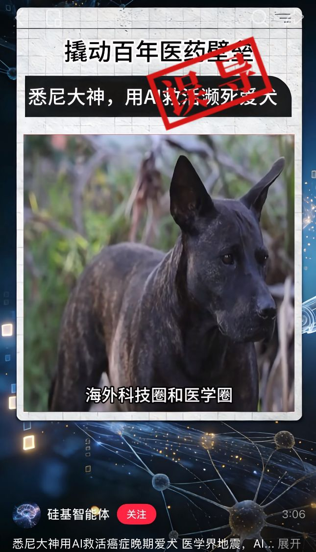 网传说法截图。