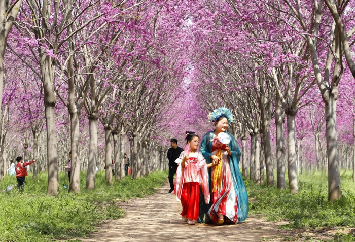 ���� ̷��� ��