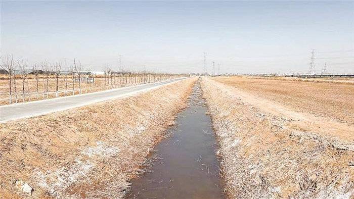 　田边的排水沟是排水排盐的重要保障。