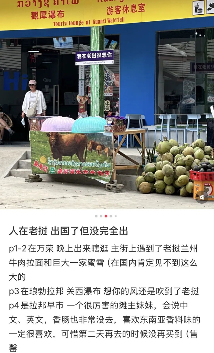      图源：小红书@歪西  