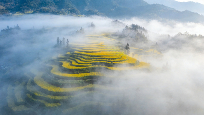 层层叠叠的梯田如大地指纹般蜿蜒伸展（央广网发  文婷  摄）