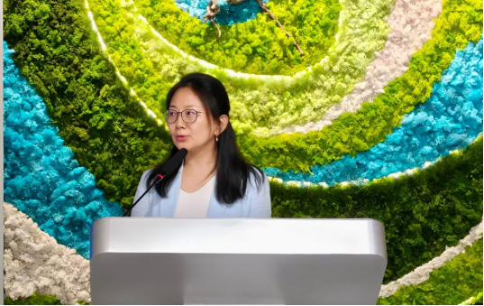 图：UNEP驻华代表处负责人王茜