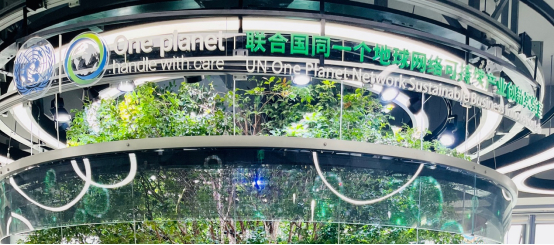 图：“共生之树”点亮现场