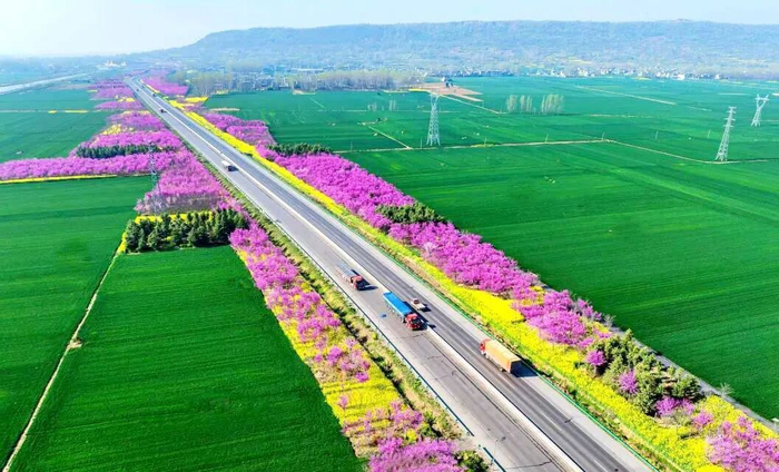 ���� ���� �ν��� ��