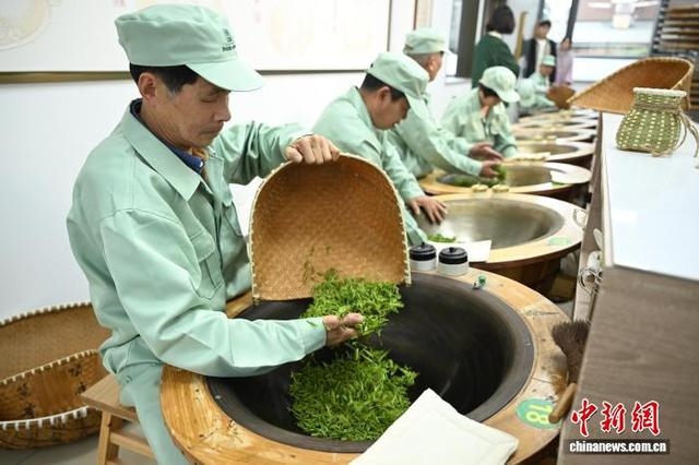 3月27日，多名炒茶师忙于炒制龙井新茶。中新社记者 王刚 摄