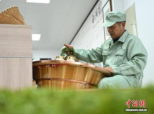 3月27日，杭州顶峰茶业的炒茶师进行传统手工炒茶。中新社记者 王刚 摄