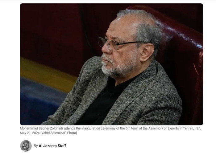 佐勒加德尔 （半岛新闻网报道截图）