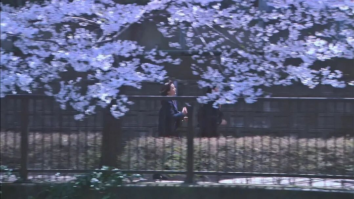 图源电影《花与爱丽丝》