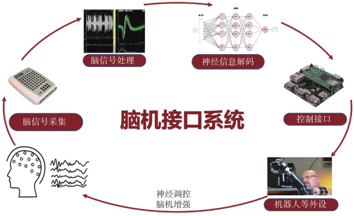 图 5 脑机接口系统组成部分