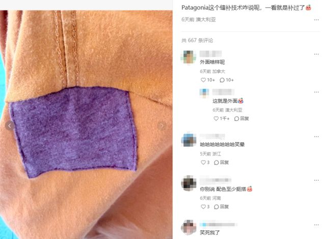 截图来源于小红书